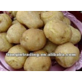 chinese fresh potato for sale